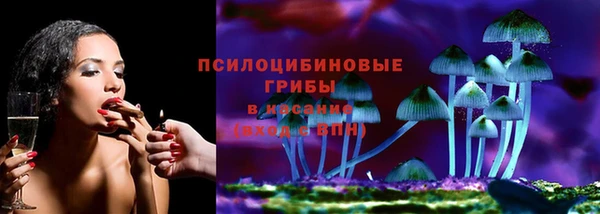 гидропоника Иннополис