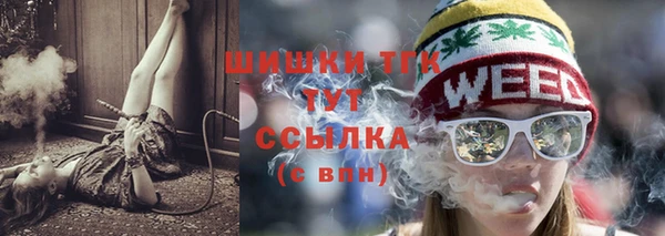 гидропоника Иннополис