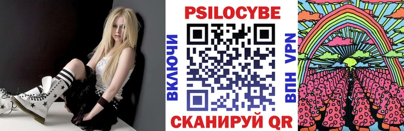 Купить  Кыштым  Галлюциногенные грибы Psilocybe 